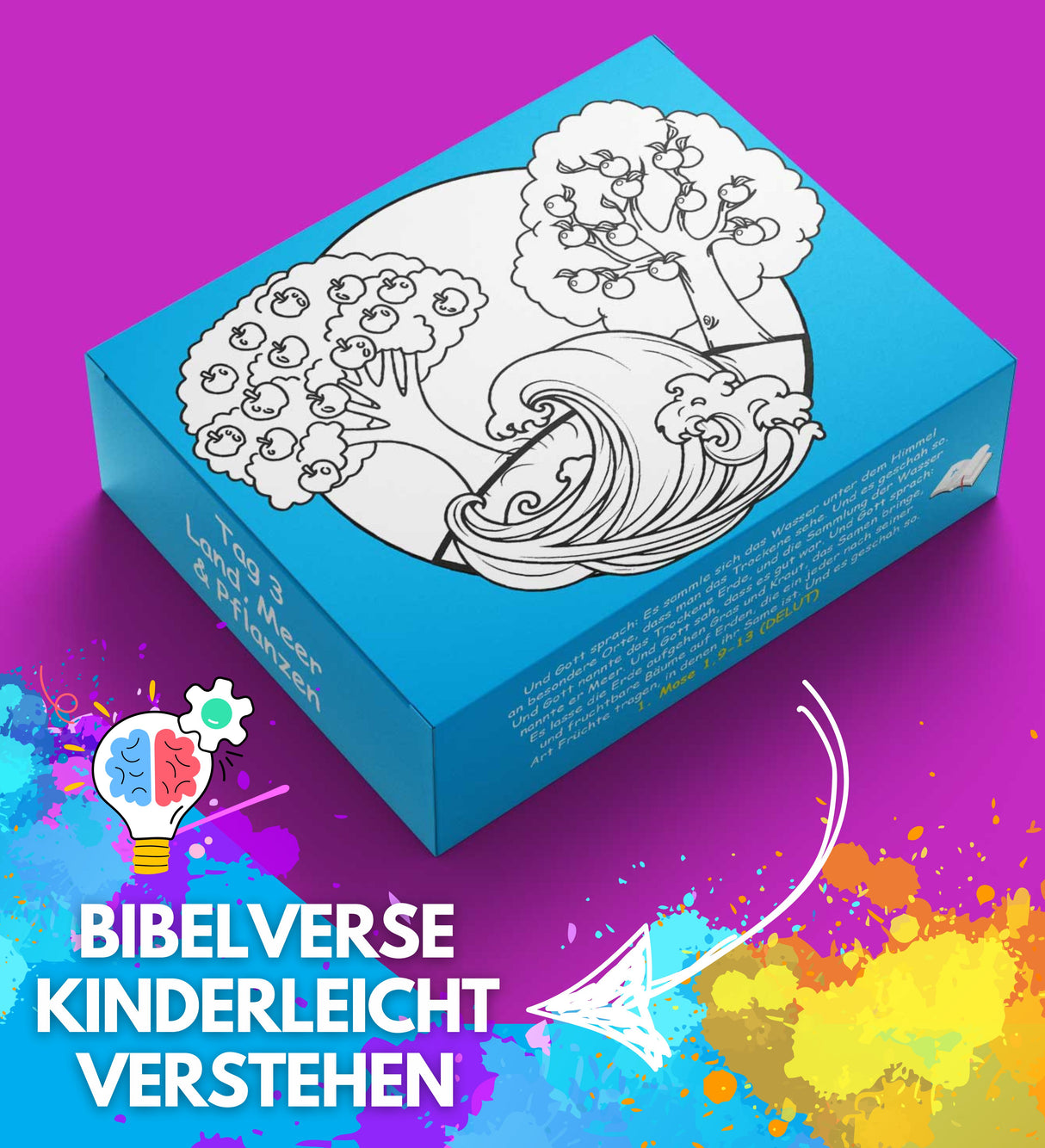 Die Schöpfung - Gottes bunte Handschrift